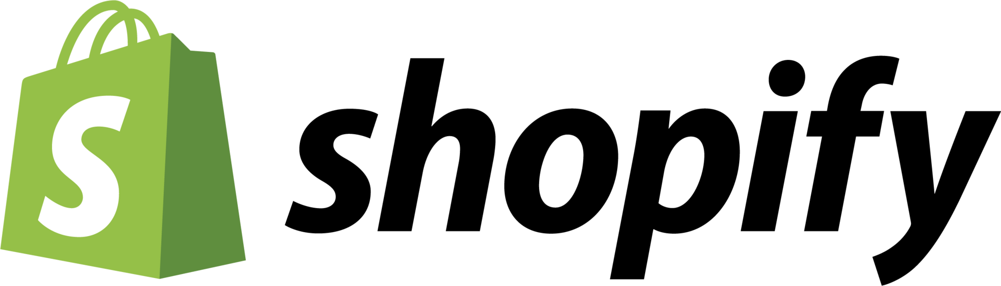 Shopify Partner
